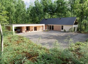Wizualizacje 3D - Klimatyczny nowoczesny dom w otoczeniu lasu